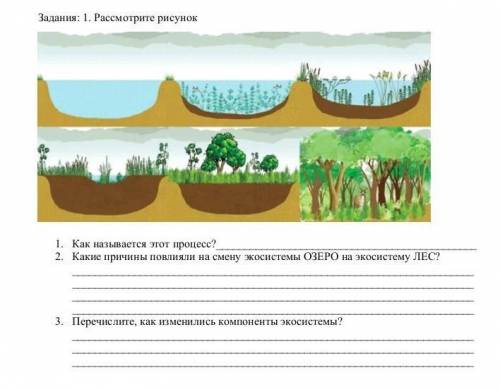 это сор по естествознанию 6 класс​