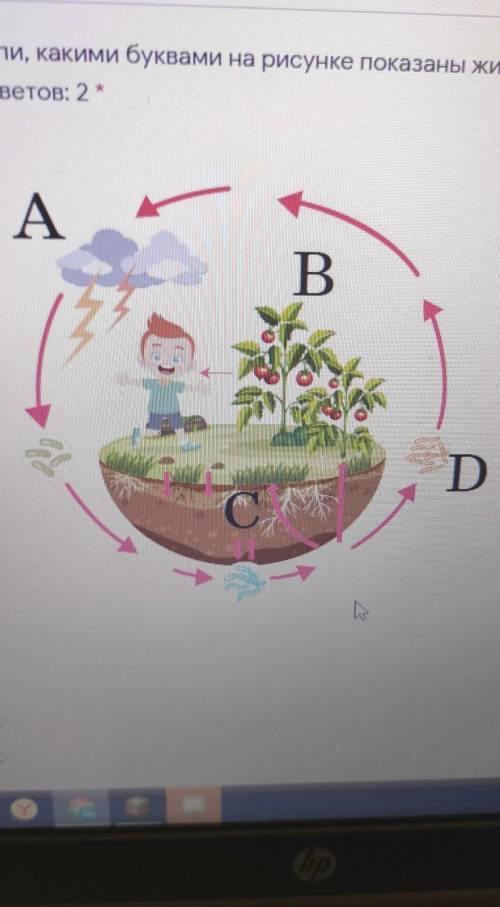 2. Определи, какими буквами на рисунке показаны живые организмы. Верных ответов: 2ABDс​