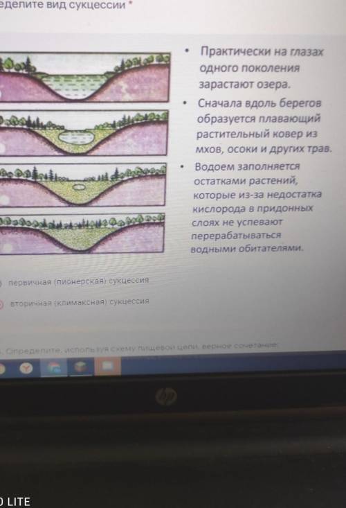 3. Определите вид сукцессии​