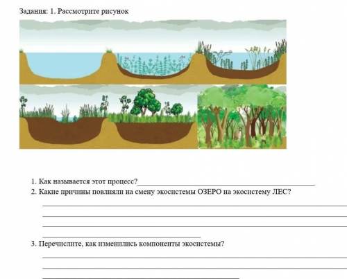 3. Перечислите, как изменились компоненты экосистемы​