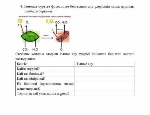 ,химия 7 класс 4 четверть ​