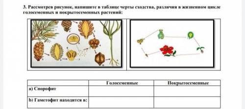 Рассмотрев рисунок, напишите в таблице черты сходства, различия в жизненном цикле голосеменных и пок