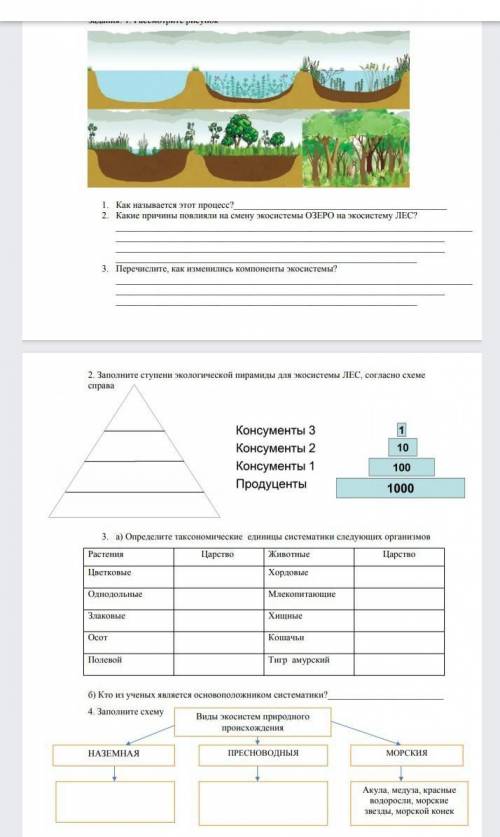 Сор по естествознанию 6 класс 4 четверть решить ​