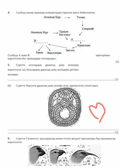 сор по биологии 8 класс, 4 четверть умаляю мало времени  ​