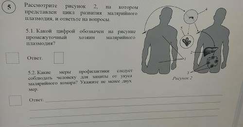 ВПР по биологии за 8 класс, задания будут на разных аккаунтах. Будут около двух-трёх заданиях в кажд