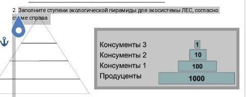 Заполните ступени экологической пирамиды для экосистемы ЛЕС, согласно схеме справа​