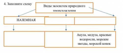 ￼4. Заполните схему￼￼￼￼ ​