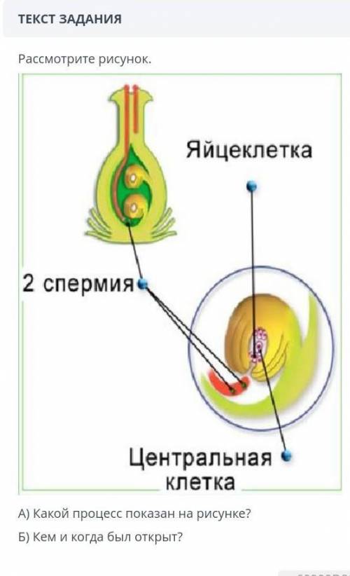 Рассмотрите рисунок а) какой процесс показан на рисунке ? б) кем и когда был открыт? УМАЛЯЮ ​