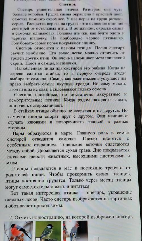 И обозначает приход зимы, 2. Отметь иллюстрацию, на которой изображён снегирь3.Пользуясь словами из 