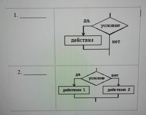 Назовите тип алгоритма и его виды блок схемы​