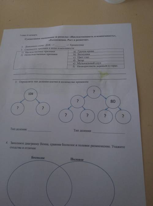 Выполните данную контрольную работу