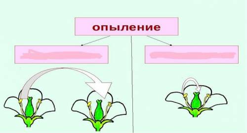 Подпиши типы опыления цветков. ( ) это сор