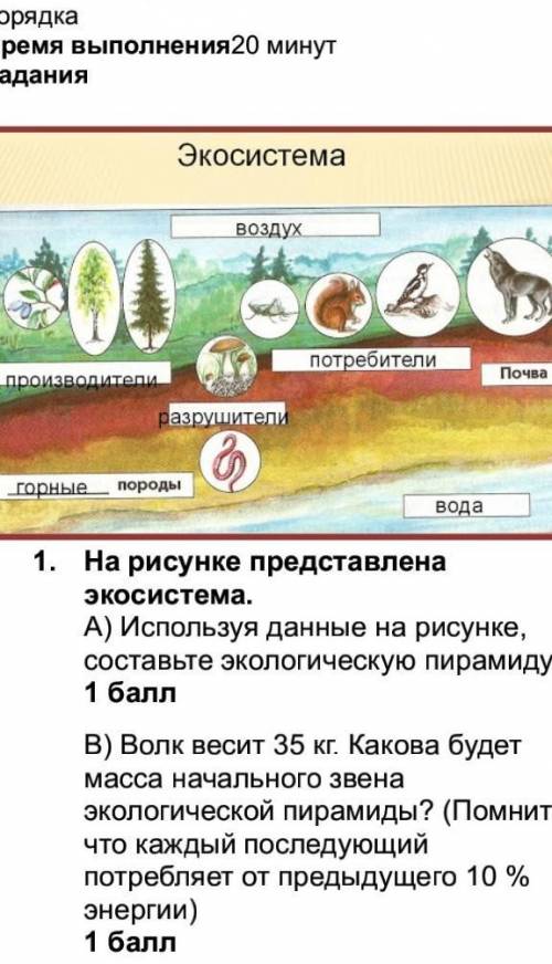 На рисунке представлена экосистема. А) Используя данные на рисунке, составьте экологическую пирамиду