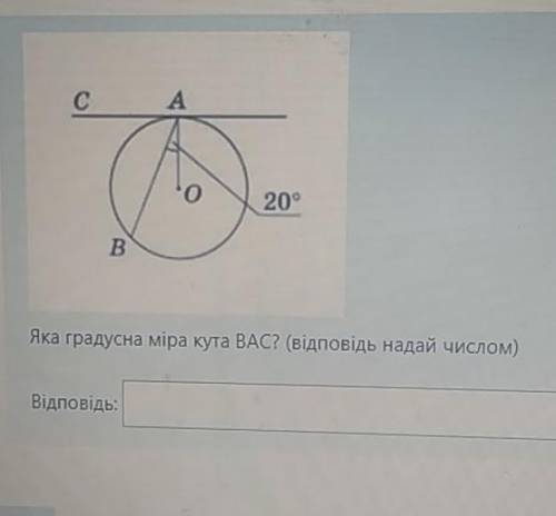 Яка градусна міра кута BAC? (відповідь надай числом)​