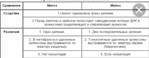 1. Напишите в таблице черты сходства, различия и биологическое значение процессов митоза и мейоза. ​