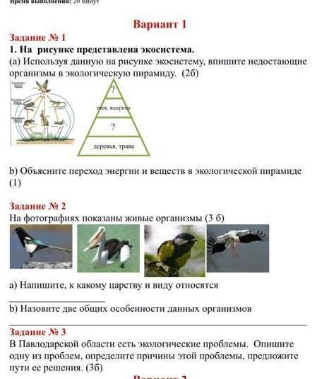 на ресунке представлены экосистема (а) используя данные на рисунке экосистемы, впишите недастаюшие о