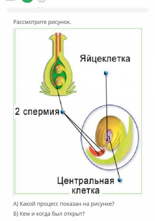 ЗАДАНИЕ №5 ВРЕМЯ НА ВЫПОЛНЕНИЕ:00:00ТЕКСТ ЗАДАНИЯРассмотрите рисунок.￼А) Какой процесс показан на ри