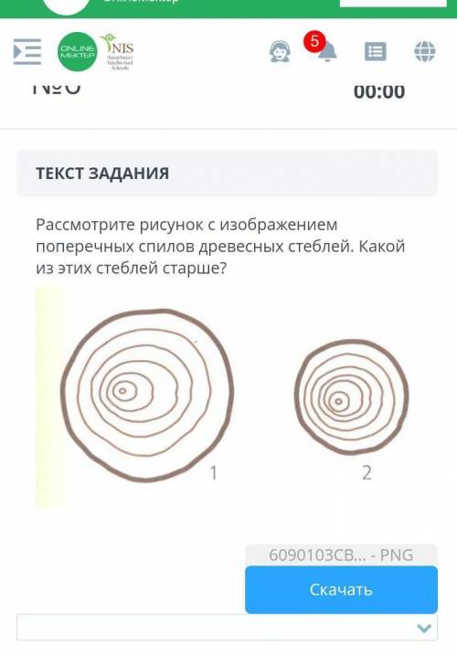 ЗАДАНИЕ №6 ВРЕМЯ НА ВЫПОЛНЕНИЕ:00:00ТЕКСТ ЗАДАНИЯРассмотрите рисунок с изображением поперечных спило