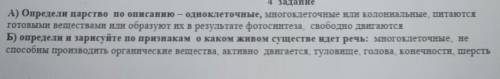 А) Определи царство по описанию — одноклеточные, внотовлеточные ни колониальные, питаются готовыми в