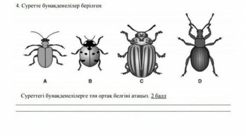 Осы маған керек болып тұр​