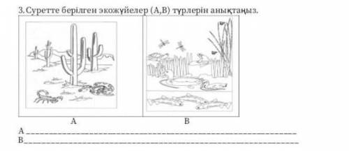 Суретте берілген эко жүйелер (А,В) түрлерін анықтаныз​