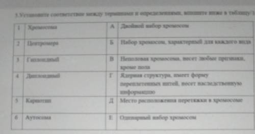 Установите соответствие между терминами и определениями Выпишите ниже в таблице 16 хромосома центра 