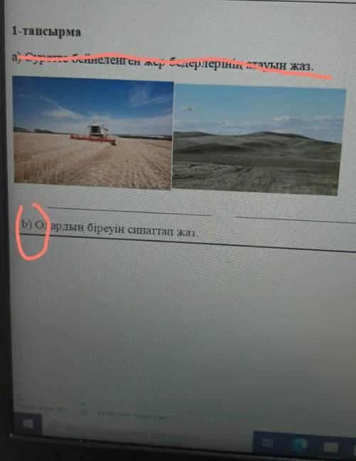 B) Олардын біреуін сипаттап жаз.​