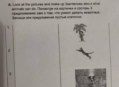 Посмотри на картинку и составь 3 предложения с can о том ,что умеют делать животные.