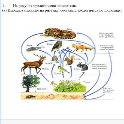 Суммативное оценивание за раздел 4. 6a «Экология и устойчивое развитие»