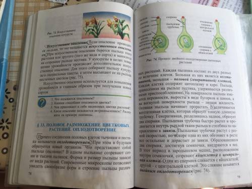 Объясните термин «двойное оплодотворение» у цветковых растений. Верных ответов: 2образование семяноб