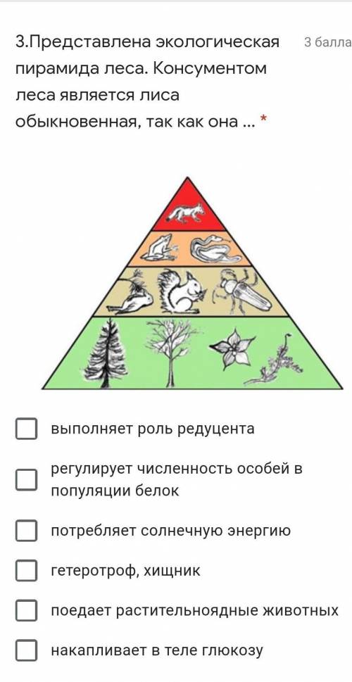 3.Представлена экологическая пирамида леса. Консументом леса является лиса обыкновенная, так как она