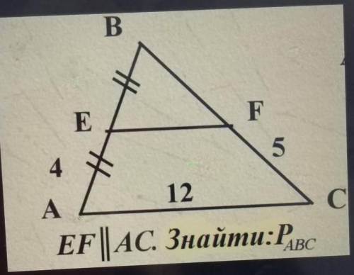 ЕF ll AC. Знайти:Pabc​