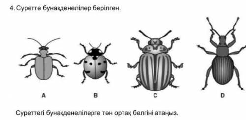 4 суреттін тән ортасын тап ​