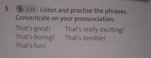 5 2.34 Listen and practise the phrases.Concentrate on your pronunciation.That's great! That's really