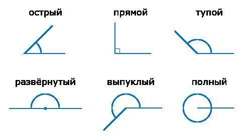 Как называется угол, который равен 180? а) прямой B) острый C) тупой d) развёрнутый​