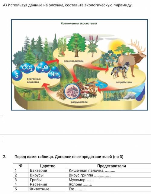 На рисунке представлена экосистема. А) Используя данные на рисунке, составьте экологическую пирамиду