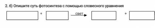 2. б) Опишите суть фотосинтеза с словесного уравнения ​