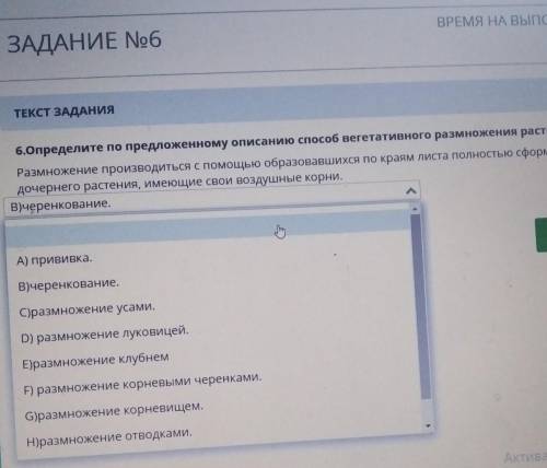 ТЕКСТ ЗАДАНИЯ 6.Определите по предложенному описанию вегетативного размножения растений:Размножение 