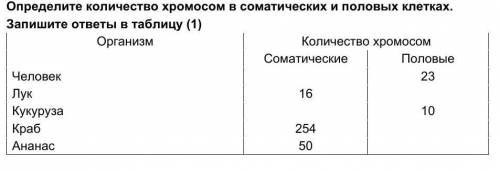 Определите количество хромосом в соматических и половых клетках. Запишите ответы в таблицу​