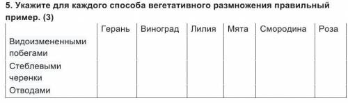 . Укажите для каждого вегетативного размножения правильный пример.​