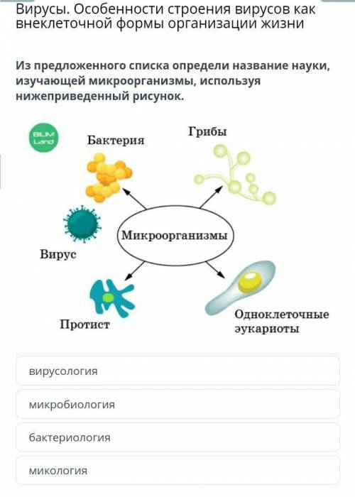 Вирусы. Особенности строения вирусовкак внеклеточной формы организацииЖИЗНИИз предложенного списка о