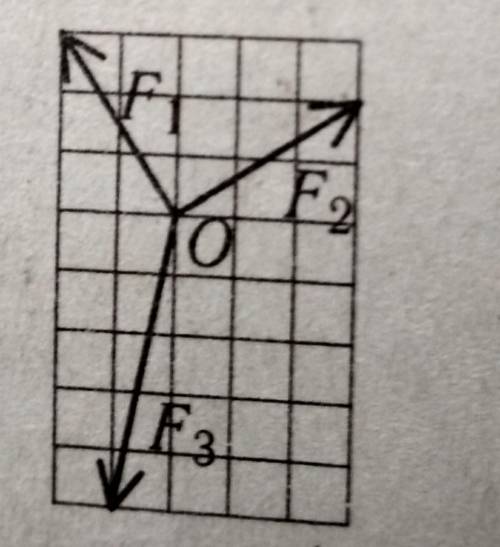 Чему равна равнодействующая сил F1,F2,F3, приведенных на рисунке (Н)?