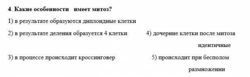 Какие особенности имеет митоз?