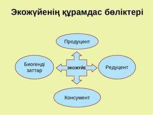 Сызбадагы акпараттар пайдаланып экожуйнын крамдас болыктерынын арсындагы байланысты тусындырыныз Мыс