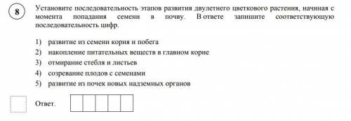 Установите последовательность этапов развития двулетнего цветкового растения, начиная с момента попа