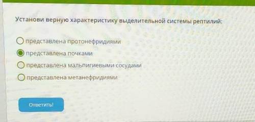 Условие задания: Установи верную характеристику выделительной системы рептилий:представлена протонеф