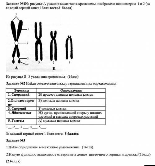 Задание №1на рисунке а укажите какая часть хромосомы изображена под номером 1 и 2 (за каждый верный