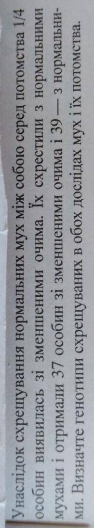 В наслідок схрещування нормальних мух між собою серед потомства 1/4 особин виявилось із зменшиними о