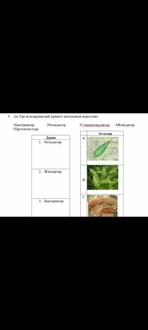 Бжб 5сынып Жаратылыстану 4-тоқсан керек кешкі 18 : 00 - ге дейін