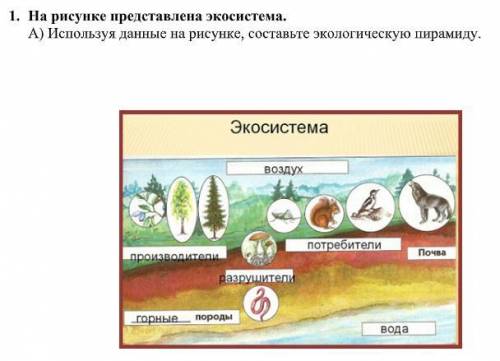 , очень надо На рисунке представлена экосистема. А) Используя данные на рисунке, составьте экологиче